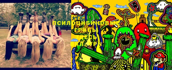 не бодяженный Михайлов