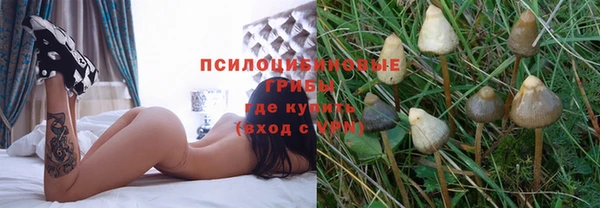 не бодяженный Михайлов