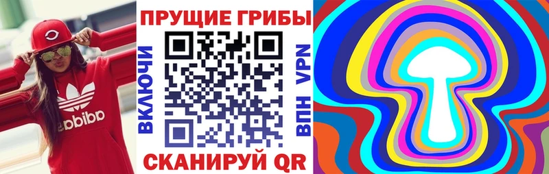 площадка официальный сайт  купить  сайты  Чехов  Псилоцибиновые грибы Psilocybe 